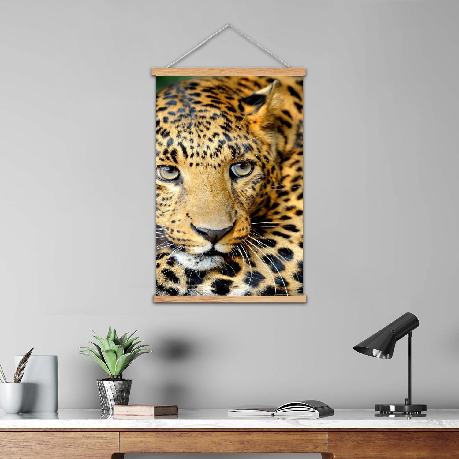 ヒョウ柄の額入り壁画キャンバスアートポスター、ウォールアート - Art Print Framed のレビューと価格