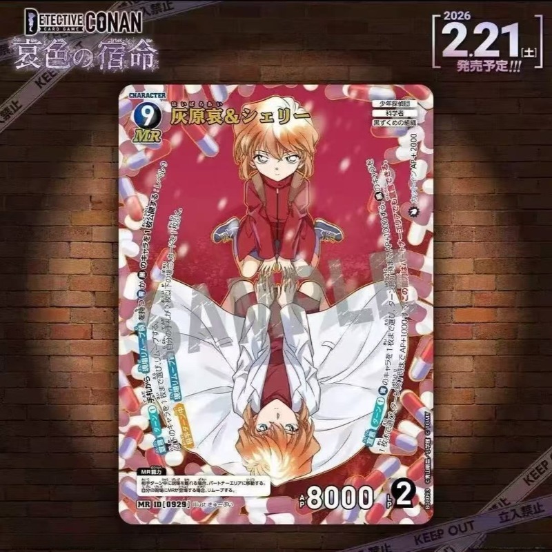 名探偵コナン トレーディングカードゲーム TCG 第8巻：悲 - Fate Anime Merchandise のレビューと価格